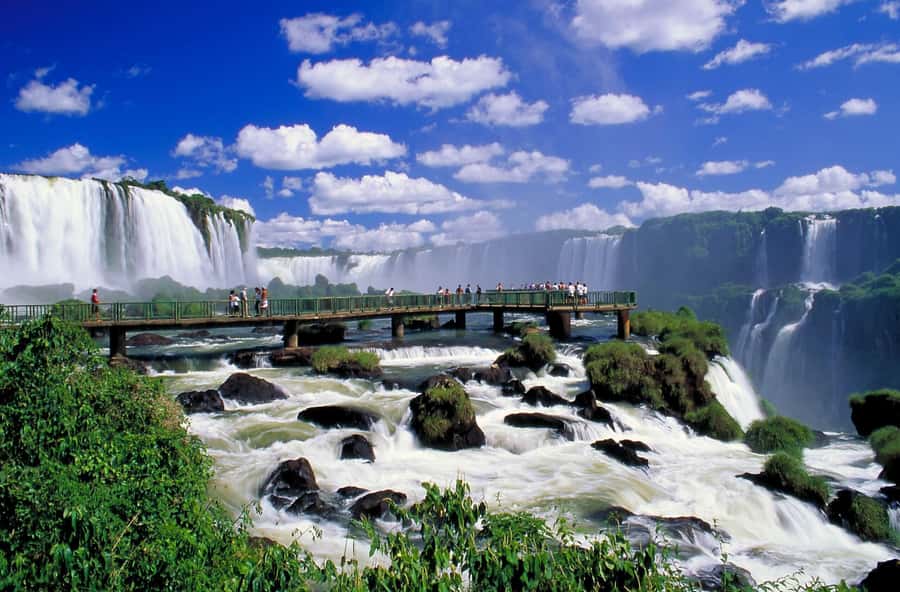Puerto Iguazú: Brazilian Falls Half-Day Panoramic Tour - Why the Guide Matters: Flora, Fauna, and Real-World Explanations