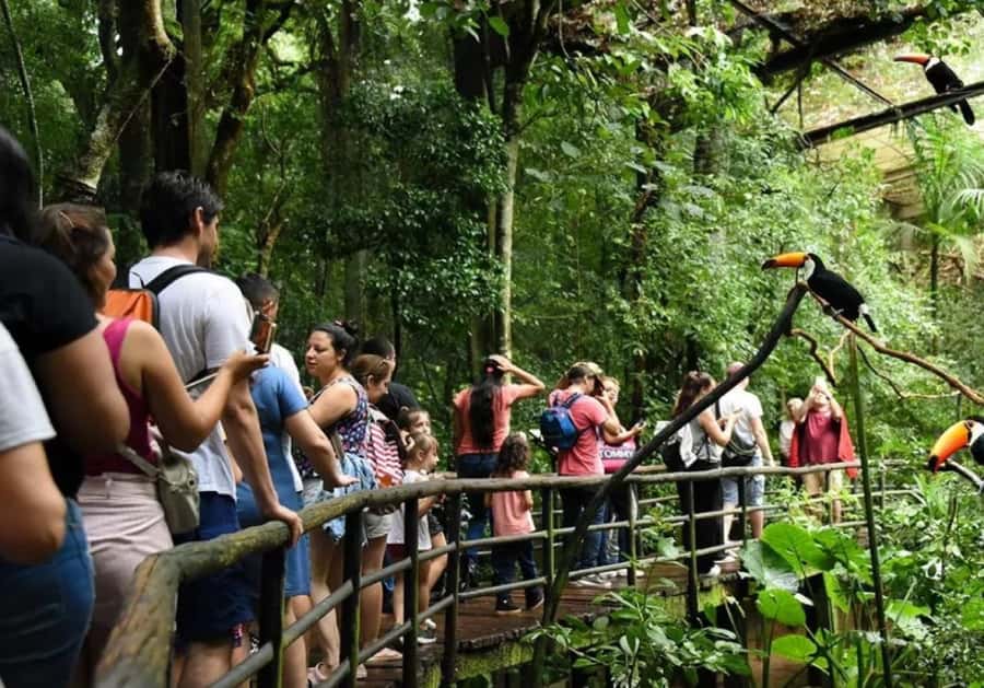 Puerto Iguazu: Iguaza Falls Brazilian Side & Bird Park Tour - Key takeaways before you go