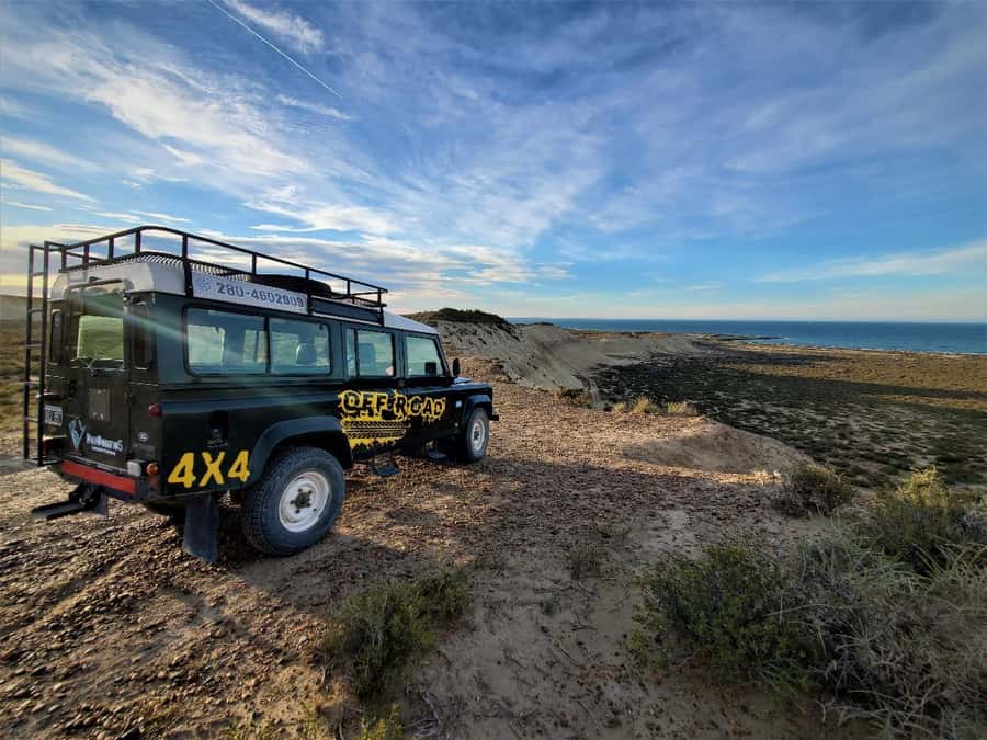 PUERTO MADRYN: 4 X 4 ADVENTURE EXPERIENCE ON THE MOST BEAUTIFUL BEACHES! - Puerto Madryn Waterfront First, Then Punta Cuevas or Curva del Indio