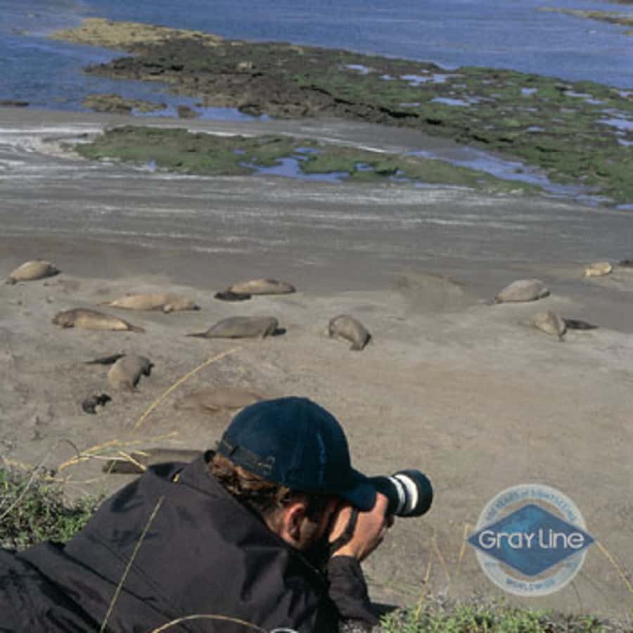 Puerto Madryn: Excursion to Peninsula Valdes Classic - Pickup, roads, and comfort: what to expect before the tour starts
