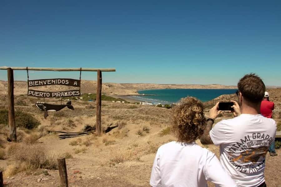 Puerto Madryn: Full Day Peninsula Valdes Experience Tour - Punta Norte: The North Option and Why Timing Matters