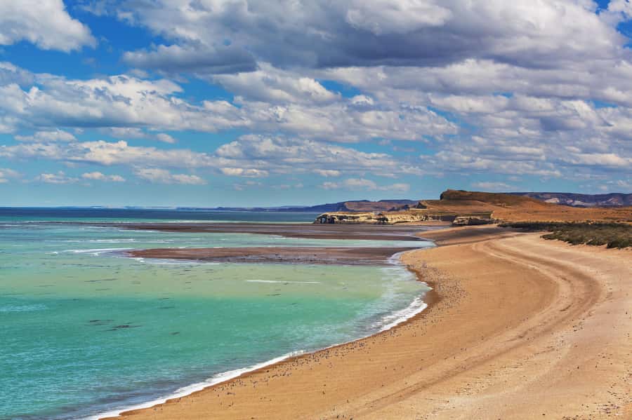 Puerto Madryn: Península Valdes with optional Whale Watching - Key things to know before you go