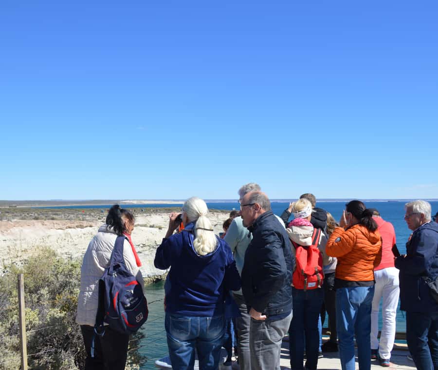 Puerto Madryn: Punta Loma Shore Excursion - Watching sea lions and cubs from the panoramic viewpoint