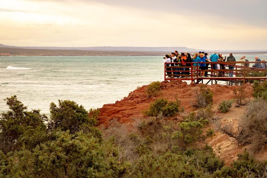 Puerto Madryn: Punta Tombo Walking Among Penguins Experience - Timing, walking style, and what to bring so you are comfortable