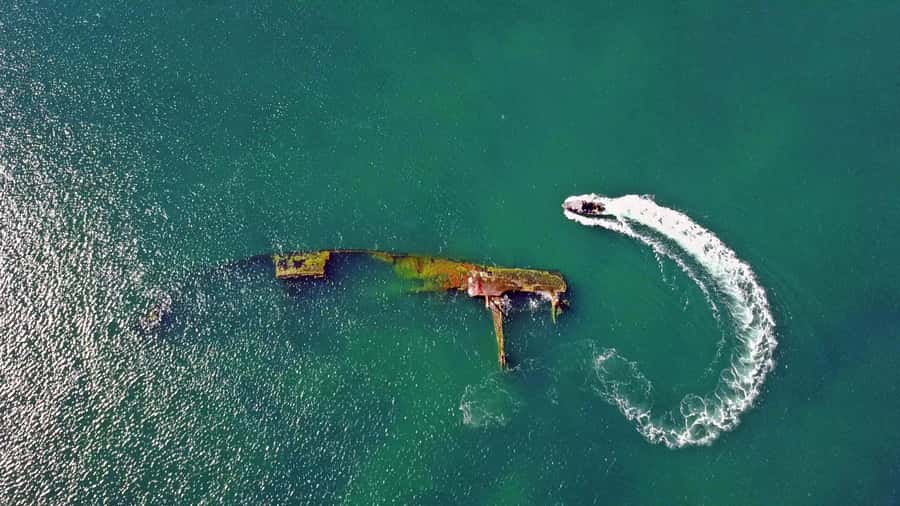 Puerto Madryn: Snorkeling Trip with Sea Lions - Key things that make this snorkeling trip worth your time