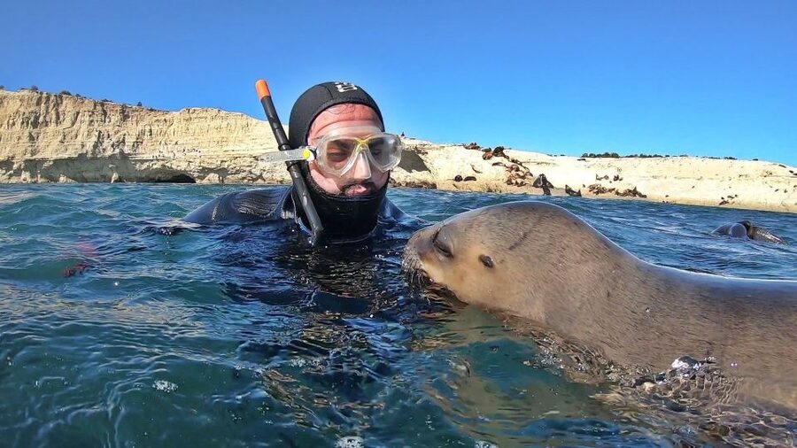 Puerto Madryn: Snorkeling Trip with Sea Lions - Weather reality check: the one factor that can change your day