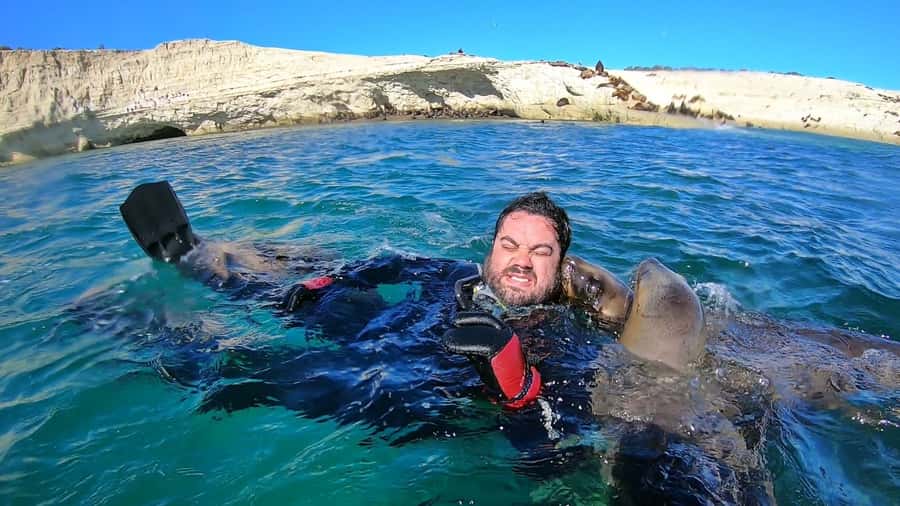 Puerto Madryn: Snorkeling Trip with Sea Lions - The human side: guides, group feel, and what “support” really looks like
