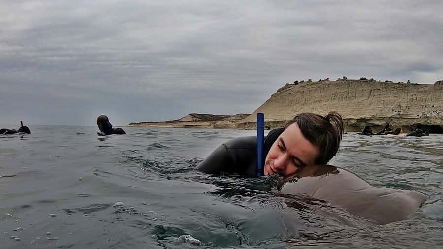 Puerto Madryn: Snorkeling Trip with Sea Lions - Timing and what you will actually feel during the 150 minutes