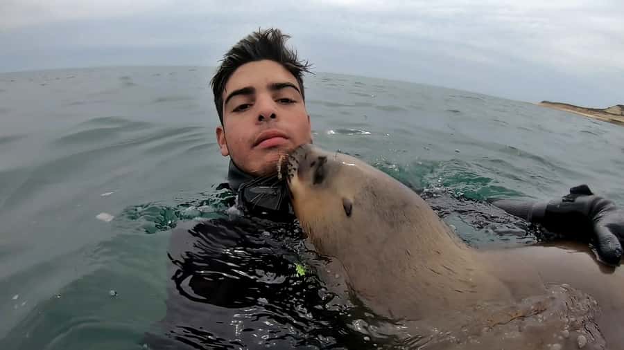 Puerto Madryn: Snorkeling Trip with Sea Lions - Price and value: is $150 a fair deal for this specific experience?