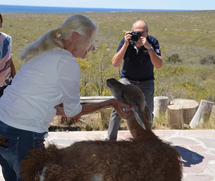 Punta Loma + Ranch Shore Excursion for cruise passengers - Key things to know before you go