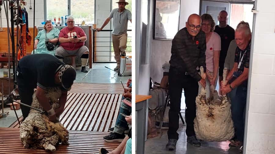Punta Loma + Ranch Shore Excursion for cruise passengers - Meeting at Piedrabuena Pier and the quick ride out of town