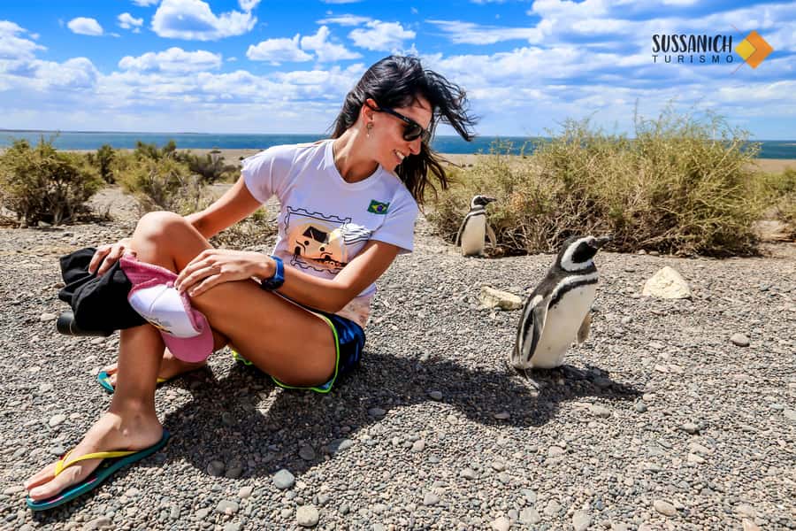 Punta Tombo Shore Excursion for Cruise Passengers + City - What to Pack for Penguins: Comfort, Warmth, and Sun Protection