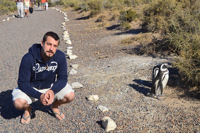 Punta Tombo Tour, the Penguin Experience - Who This Tour Suits Best (And Who Might Want Another Option)