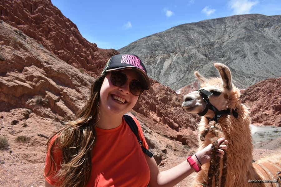 Purmamarca: Hiking with Llamas through multicolored mountains - Meeting the Llamas at Paseo de los Colorados