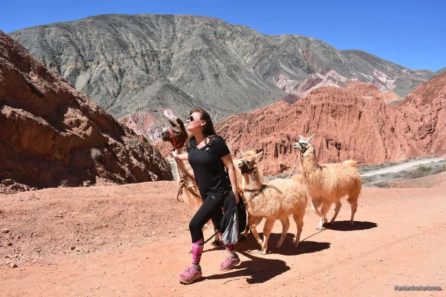 Purmamarca: Hiking with Llamas through multicolored mountains - How the guide turns what you see into Andean meaning