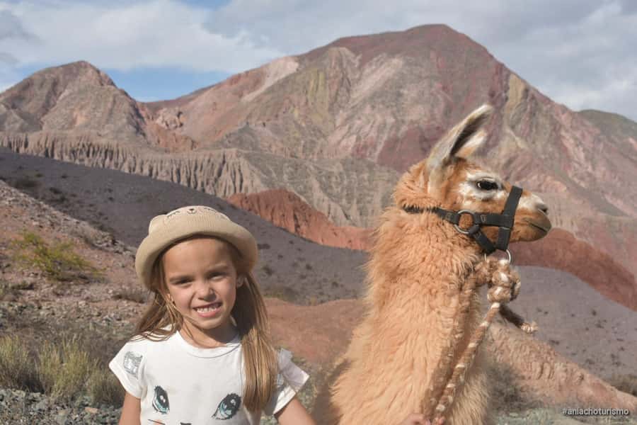 Purmamarca: Hiking with Llamas through multicolored mountains - Before you walk: handling rules and how the experience stays respectful