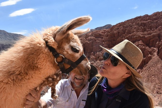 Purmamarca Walk with Llamas - Key things I’d center in your planning