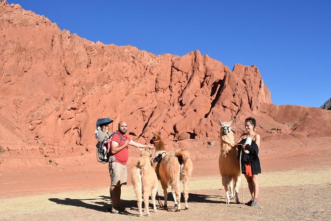 Purmamarca Walk with Llamas - Private and Personalized, So Your Pace Actually Matters