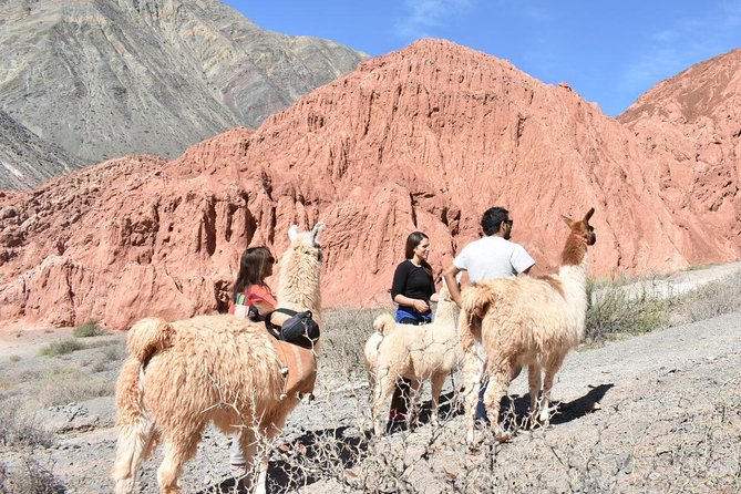 Purmamarca Walk with Llamas - Stop 2: The Hill of Seven Colors and the Close-Up Llama Magic