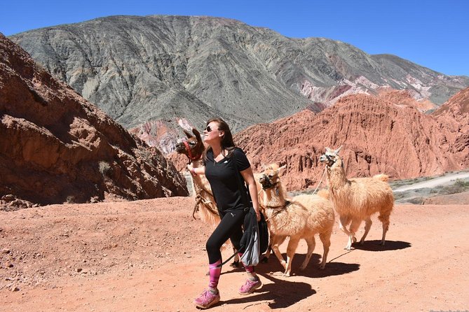 Purmamarca Walk with Llamas - Stop 1: Paseo de los Colorados, Where the Photos Make Sense