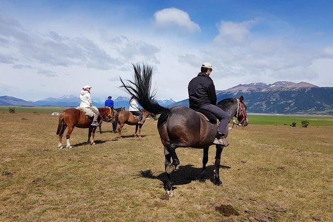 Rio Miter Horseback Riding - After Lunch and Back to El Calafate, the Day Winds Down Smoothly