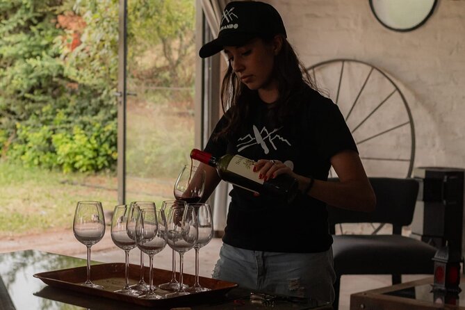 Roast and Empanadas Class with Wine |Mendoza|Braseando Experience - Lighting the Fire and Handling Coals: The Asado Lesson That people keep mentioning