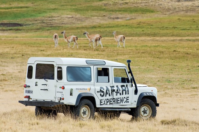 Safari Experience - Wildlife & Steppe - Key things I’d circle on your plan