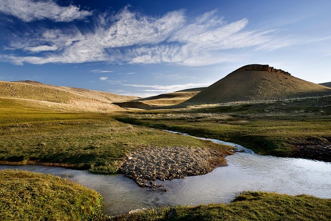 Safari Experience - Wildlife & Steppe - Why this 4x4 safari works so well in El Calafate