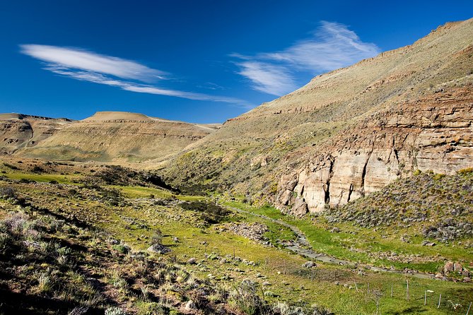 Safari Experience - Wildlife & Steppe - Estancia 25 de Mayo: more than a ranch stop