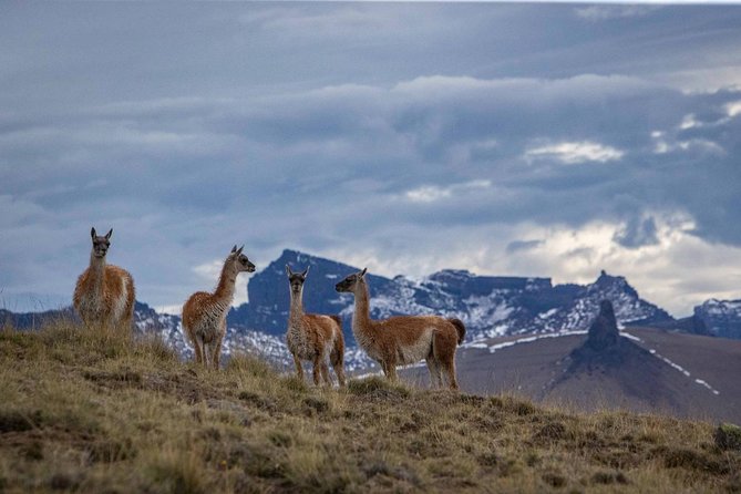 Safari Experience - Wildlife & Steppe - Lunch at the ranch house: why this meal boosts the whole trip