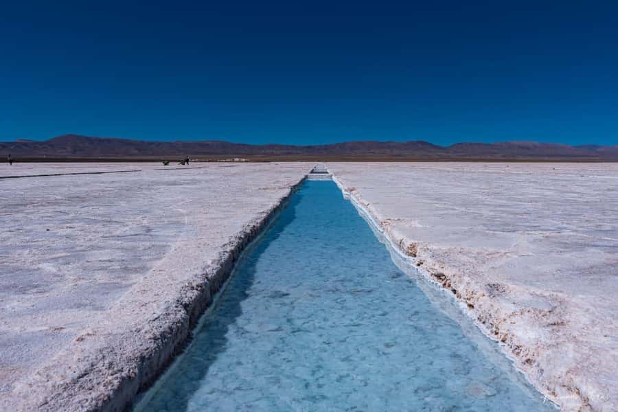 Salta: Cafayate, Cachi, and Salinas Grandes Guided Day Trips - Day 1 in Cafayate: Lerma Valley tobacco views, House of the Parrots, and Torrontés