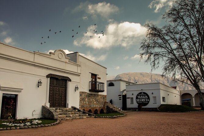 Salta, Cafayate Wine Experience - 3 Full Days! Private - Key reasons this private Salta and Cafayate wine route works