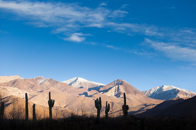 Salta: Calchaquí Valley Scenic Drive and Day Trip to Cachi - The Calchaquí Valley drive that feels like a full day of photo stops