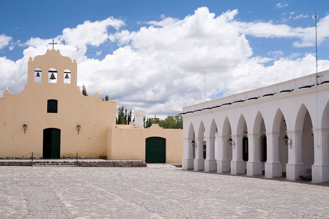 Salta: Calchaquí Valley Scenic Drive and Day Trip to Cachi - Piedra del Molino, Los Cardones National Park, and Recta del Tin Tin