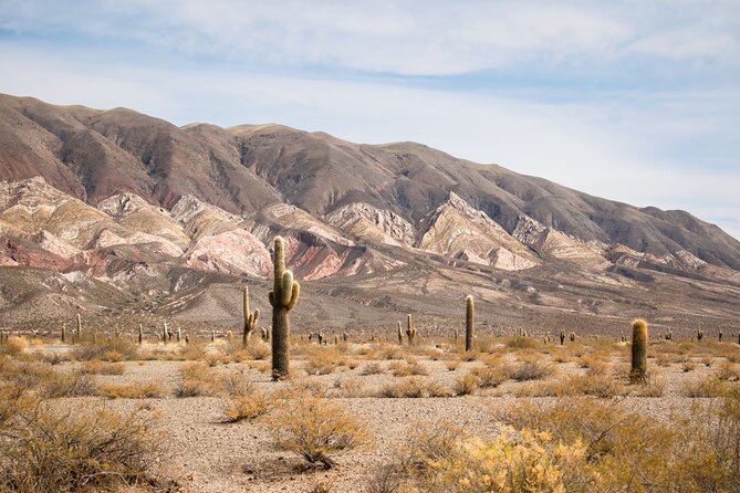 Salta: Calchaquí Valley Scenic Drive and Day Trip to Cachi - Altitude and comfort tips that can make or break your day