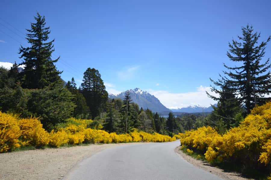 San Martín de los Andes por 7 Lagos - Villa La Angostura stop: a town walk before your legs take over