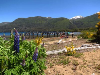 San Martín de los Andes por 7 Lagos