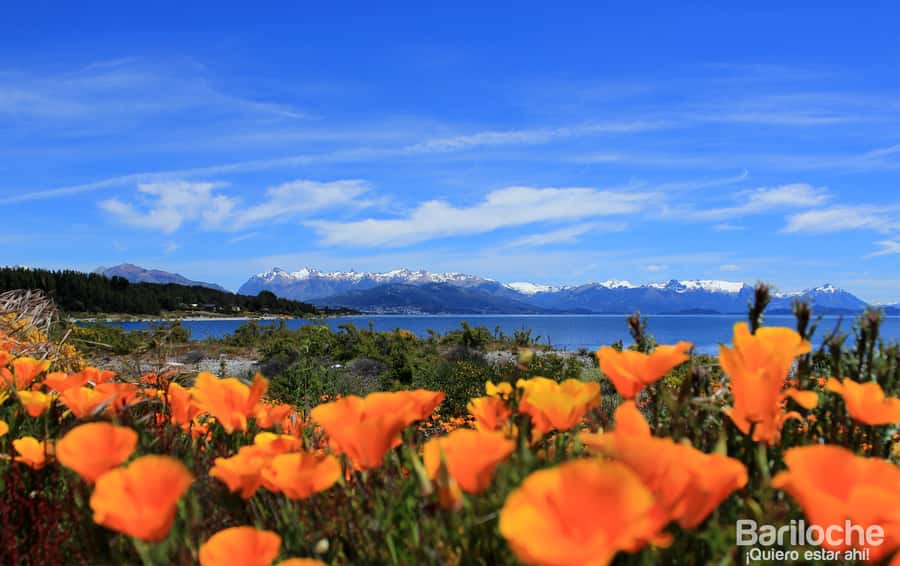 San Martín de los Andes por 7 Lagos - Getting back to Bariloche: the same path, then a final town reset