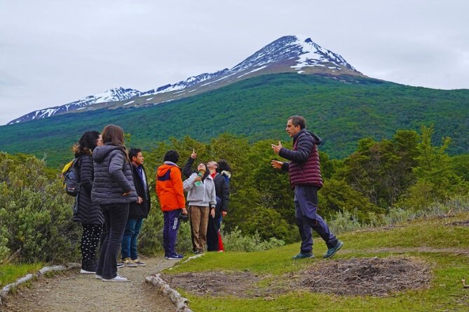 Shore Excursion in Tierra del Fuego National Park - Key points before you book