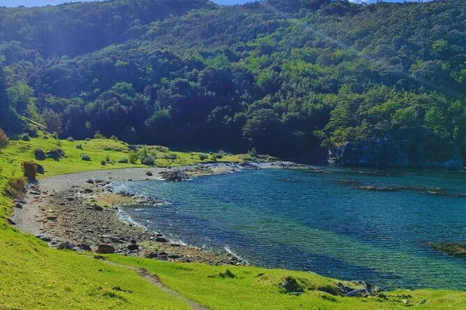 Shore Excursion in Tierra del Fuego National Park - Parque Nacional Tierra del Fuego: your walking stops and the big nature payoff