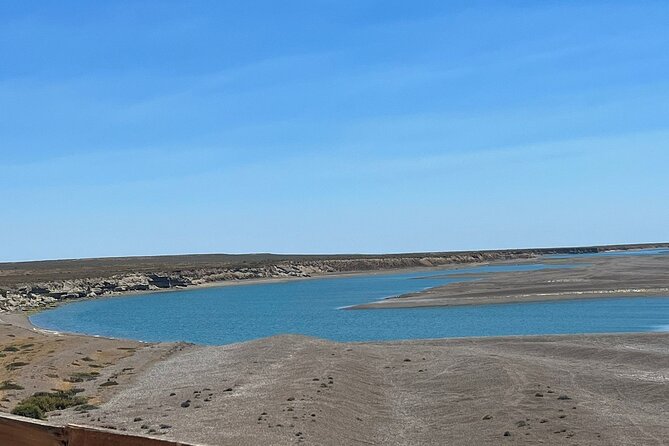 Shore Excursion PENINSULA VALDES Cruise Passengers - Comfort and photos on the van ride: worth planning for