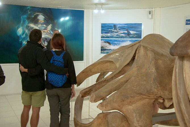 Shore Excursion Peninsula Valdes cruise passengers Puerto Madryn - The long drive reality: how to handle it without ruining the day