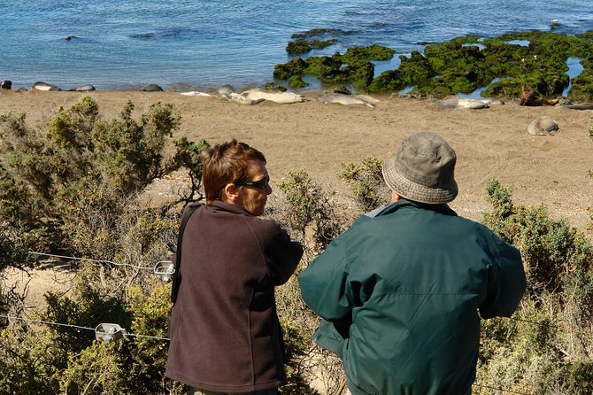 Shore Excursion Peninsula Valdes cruise passengers Puerto Madryn - Wildlife viewing expectations that help you get better results