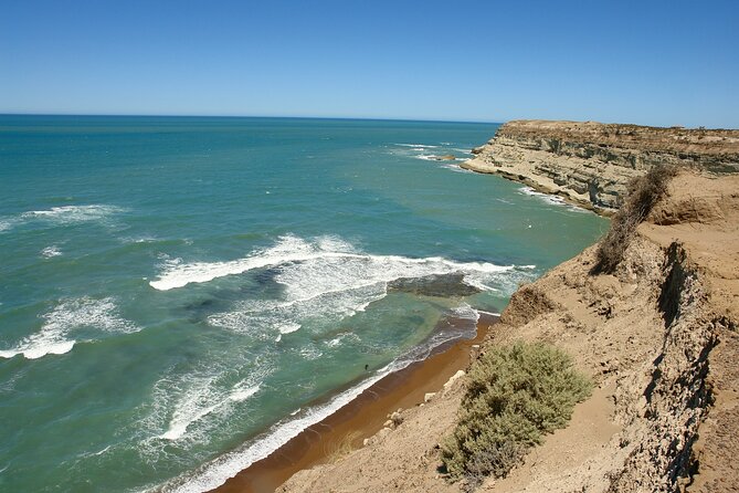 Shore Excursion Peninsula Valdes or Punta Tombo - Private Car - Key Things to Know Before You Go