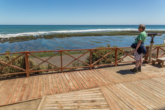 Shore Excursion Peninsula Valdes or Punta Tombo - Private Car - Price and What You Get for the Money