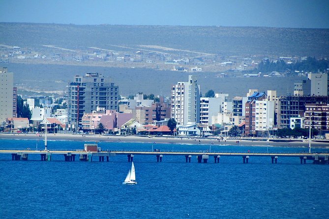 Shore Excursion Punta Loma Sea Lions Reserve Including Puerto Madryn City Tour - Group Size and Comfort: Small Enough to Feel Personal