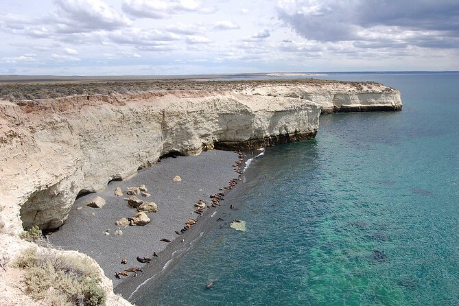 Shore Excursion Punta Loma Sea Lions Reserve Including Puerto Madryn City Tour - Reserva Loberia de Punta Loma: Your Sea Lion Viewing Window