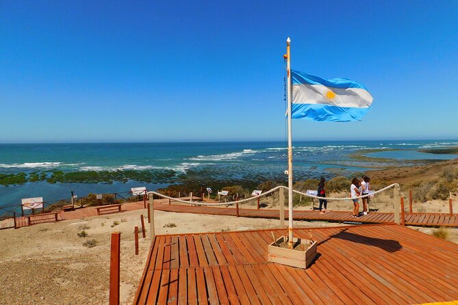 Shore Tours Peninsula Valdes Cruise Ship Passengers Puerto Madryn - Why Peninsula Valdés Viewpoints Make This Shore Day Worth It