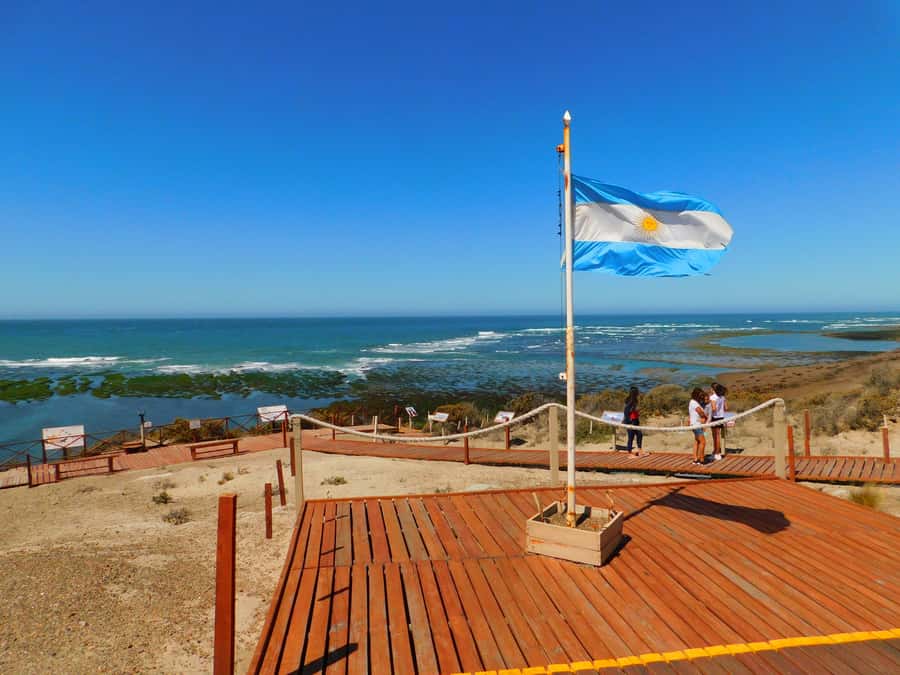 Shore Tours Peninsula Valdes Puerto Madryn Cruise Passengers - Key things to know before you go