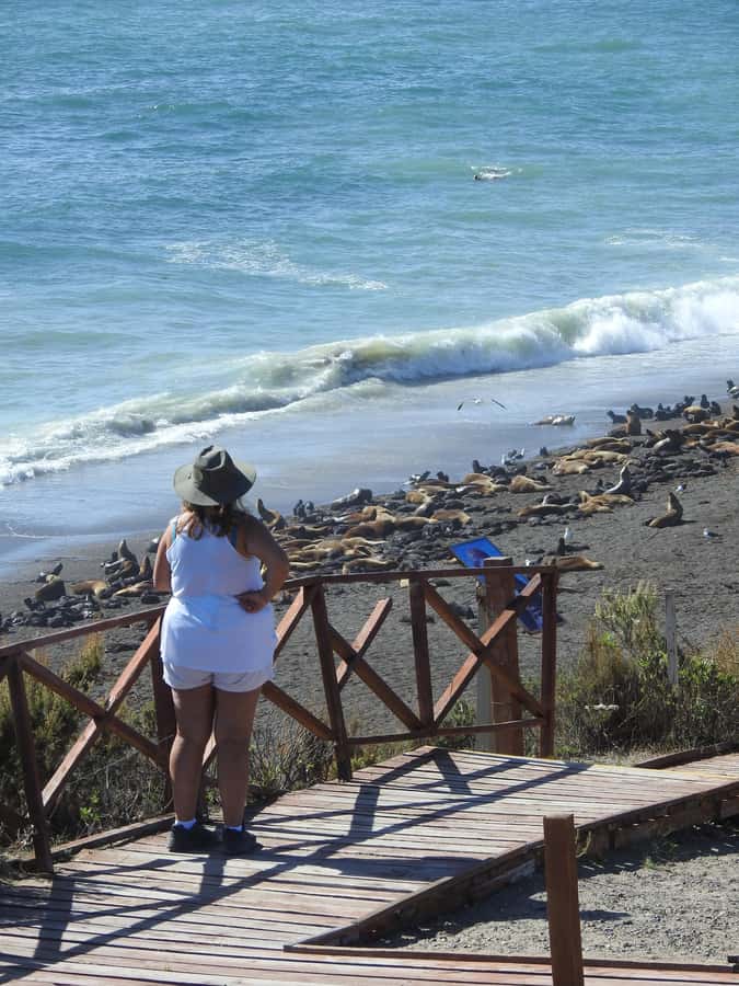 Shore Tours Peninsula Valdes Puerto Madryn Cruise Passengers - The route includes an early checkpoint and a visitor center pause
